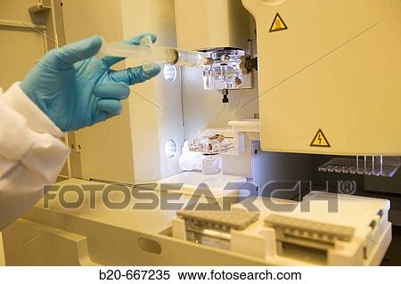 Capillary electrophoresis equipment, Biotechnology Laboratory, Neiker Tecnalia, Instituto de Investigaci? n y Desarrollo Agrario, Ganadero, Forestal y del Medio Natural, Arkaute, Alava, Euskadi, Spain. View Large Photo Image Stock Photography - Capillary electrophoresis equipment, Biotechnology Laboratory, Neiker Tecnalia, Instituto de Investigaci? n y Desarrollo Agrario, Ganadero, Forestal y del Medio Natural, Arkaute, Alava, Euskadi, Spain.. Fotosearch