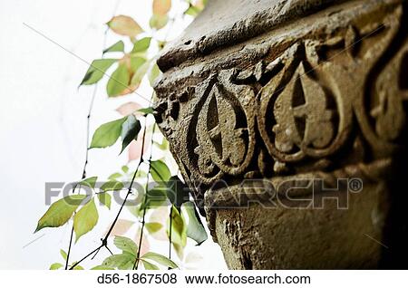 Capital and leaves, Archeological museum, Ubeda, Jaen province, Andalusia, Spain View Large Photo Image Stock Photo - Capital and leaves, Archeological museum, Ubeda, Jaen province, Andalusia, Spain. Fotosearch