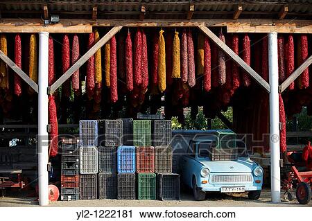 Stock Image - Capsicum annuum or chili peppers drying to make Hungarian paprika - Kalocsa Hungary. Fotosearch
