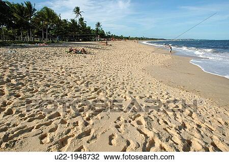 Cara? va, Bahia, Brazil, the beach View Large Photo Image Stock Image - Cara? va, Bahia, Brazil, the beach. Fotosearch