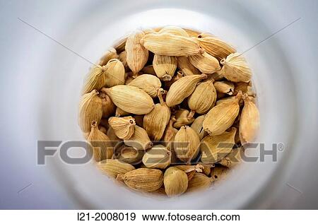 Stock Photo - Cardamom.. Fotosearch