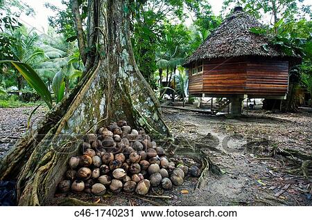 Carenero island, Bocas del Toro province, Caribbean sea, Panama. View Large Photo Image Stock Image - Carenero island, Bocas del Toro province, Caribbean sea, Panama.. Fotosearch