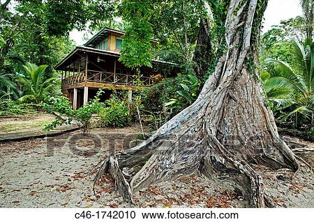 Carenero island, Bocas del Toro province, Caribbean sea, Panama. View Large Photo Image Stock Image - Carenero island, Bocas del Toro province, Caribbean sea, Panama.. Fotosearch