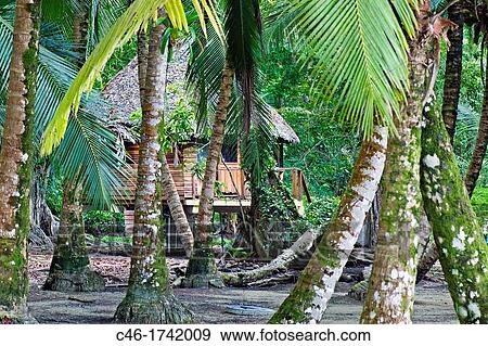 Carenero island, Bocas del Toro province, Caribbean sea, Panama. View Large Photo Image Stock Photo - Carenero island, Bocas del Toro province, Caribbean sea, Panama.. Fotosearch