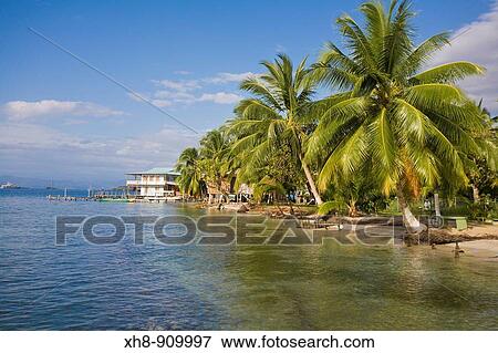 Stock Photo - Carenero Island, Bocas del Toro Province, Panama. Fotosearch