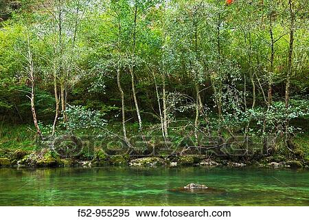 Cares River. Niserias. Peamellera Alta. Asturias. Spain. View Large Photo Image Stock Photography - Cares River. Niserias. Peamellera Alta. Asturias. Spain.. Fotosearch