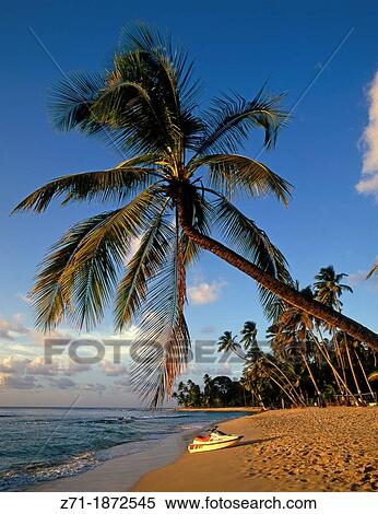 Caribbean, Barbados, St Peter, Kings Beach, View Large Photo Image Stock Photography - Caribbean, Barbados, St Peter, Kings Beach,. Fotosearch