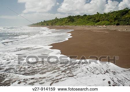 Caribbean beach, photographed in Costa Rica View Large Photo Image Stock Photo - Caribbean beach, photographed in Costa Rica. Fotosearch