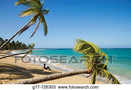 Caribbean Dominican Republic Samana Peninsula Las Terrenas Haitian Woman View Large Photo Image Stock Image - Caribbean Dominican Republic Samana Peninsula Las Terrenas Haitian Woman. Fotosearch