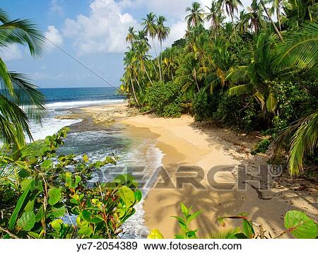 Stock Photo - Caribbean sea beach Costa Rica. Fotosearch