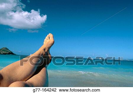 Caribbean, St Barth, Colombier Bay View Large Photo Image Stock Image - Caribbean, St Barth, Colombier Bay. Fotosearch