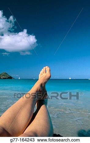 Caribbean, st barth, colombier bay View Large Photo Image Stock Image - Caribbean, st barth, colombier bay. Fotosearch