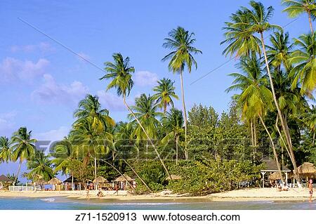 Caribbean, Tobago, Pigeon Point, beach View Large Photo Image Stock Image - Caribbean, Tobago, Pigeon Point, beach. Fotosearch