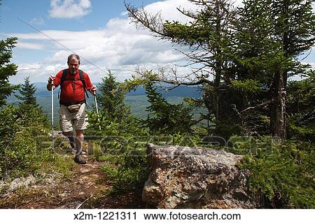 Caribou - Speckled Mountain Wilderness - A hiker ascends Mud Brook Trail in the White Mountain National Forest of Maine Mud Brook Trail travels to the summit of Caribou Mountain View Large Photo Image Stock Image - Caribou - Speckled Mountain Wilderness - A hiker ascends Mud Brook Trail in the White Mountain National Forest of Maine Mud Brook Trail travels to the summit of Caribou Mountain. Fotosearch