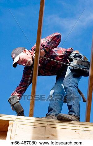Carpenter standing on top of a wall, nailing roof rafters into the top plate with a nail gun at a construction site. View Large Photo Image Stock Image - Carpenter standing on top of a wall, nailing roof rafters into the top plate with a nail gun at a construction site.. Fotosearch