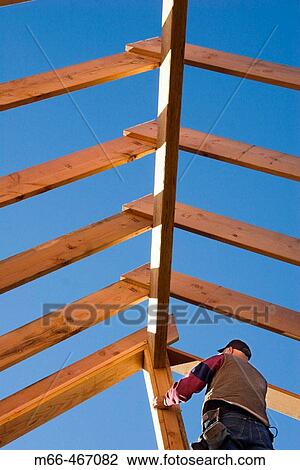 Carpenter standing under roof rafters during the framing of a roof at a construction site. View Large Photo Image Stock Image - Carpenter standing under roof rafters during the framing of a roof at a construction site.. Fotosearch