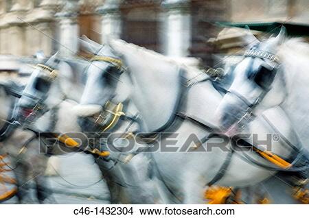 Carriages, Plaza San Francisco City of Sevilla Andalucia Spain View Large Photo Image Picture - Carriages, Plaza San Francisco City of Sevilla Andalucia Spain. Fotosearch