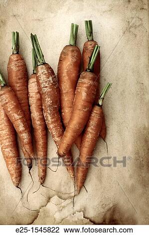 Carrots organically grown on a textured background View Large Photo Image Stock Image - Carrots organically grown on a textured background. Fotosearch