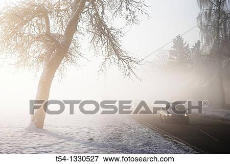 Stock Photo - Cars in the winter fog. Fotosearch