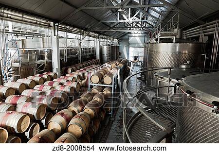 casas del bosque winery in casablanca valley. View Large Photo Image Picture - casas del bosque winery in casablanca valley.. Fotosearch