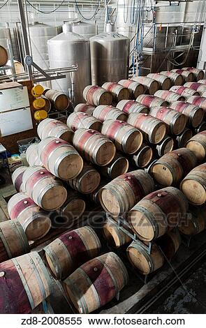 casas del bosque winery in casablanca valley. View Large Photo Image Stock Photography - casas del bosque winery in casablanca valley.. Fotosearch