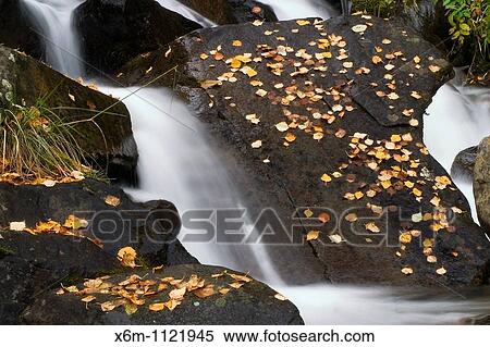 Cascade Artiga de Lin Aran Valley Lerida province Catalonia, Spain, Europe View Large Photo Image Stock Photography - Cascade Artiga de Lin Aran Valley Lerida province Catalonia, Spain, Europe. Fotosearch