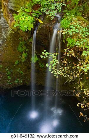 Cascade on the Umpqua River near Toketee Falls, Umpqua National Forest, Oregon, USA View Large Photo Image Stock Image - Cascade on the Umpqua River near Toketee Falls, Umpqua National Forest, Oregon, USA. Fotosearch