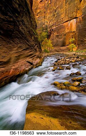 Cascade water over rocks in the Virgin River Narrows, Zion National Park, Utah View Large Photo Image Stock Image - Cascade water over rocks in the Virgin River Narrows, Zion National Park, Utah. Fotosearch