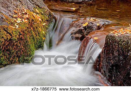 Cascades and Autumn leaves on Rock Creek in the Goose Creek Mountains in southern Idaho View Large Photo Image Stock Photography - Cascades and Autumn leaves on Rock Creek in the Goose Creek Mountains in southern Idaho. Fotosearch