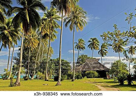 case, villa, Moorea, iles de la Societe, archipel de la Polynesie francaise, ocean pacifique sud View Large Photo Image Stock Photography - case, villa, Moorea, iles de la Societe, archipel de la Polynesie francaise, ocean pacifique sud. Fotosearch