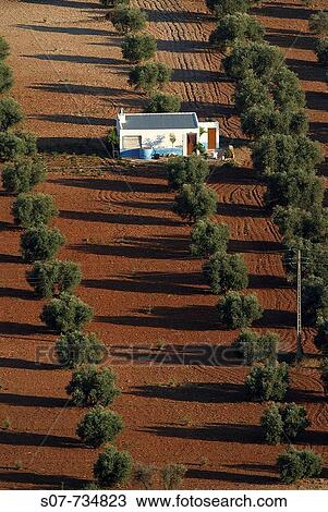 Stock Image - Caseta field.. Fotosearch