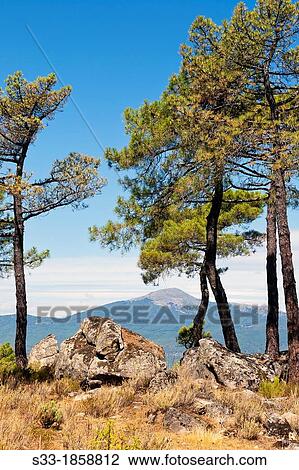 Casillas peak in the Sierra de Gredos? vila Castilla Le? n Spain View Large Photo Image Stock Image - Casillas peak in the Sierra de Gredos? vila Castilla Le? n Spain. Fotosearch