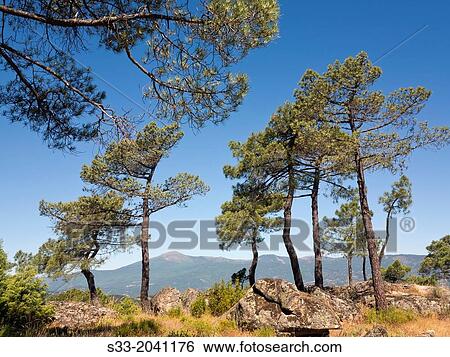 Stock Photograph - Casillas peak in the Sierra de Gredos from Cadalso de los Vidrios. Madrid. Spain.. Fotosearch
