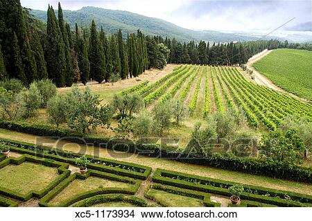 Castello di Brolio, landscape, Chianti Valley, Siena, Tuscany, Italy View Large Photo Image Picture - Castello di Brolio, landscape, Chianti Valley, Siena, Tuscany, Italy. Fotosearch