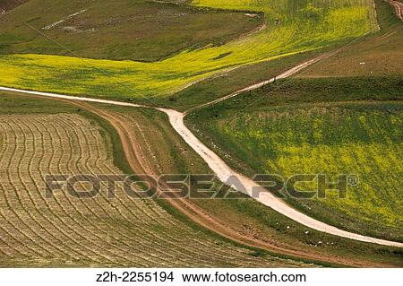 Castelluccio di Norcia, Highland of Castelluccio di Norcia, Norcia, Umbria, Italy, Europe. View Large Photo Image Picture - Castelluccio di Norcia, Highland of Castelluccio di Norcia, Norcia, Umbria, Italy, Europe.. Fotosearch