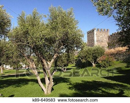 Stock Image - Castelo, Beja, Portugal.. Fotosearch