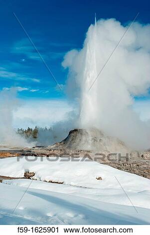 Castle Geyser Erupting, Yellowstone NP, WY View Large Photo Image Stock Image - Castle Geyser Erupting, Yellowstone NP, WY. Fotosearch