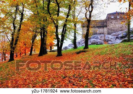 Picture - Castle in autumn with trees. Fotosearch