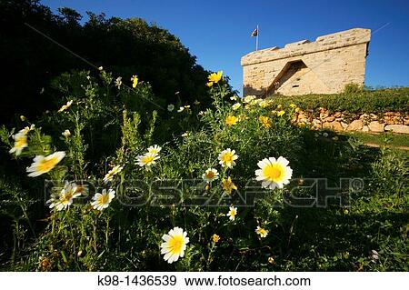 Stock Photo - Castle N? Amer, XVII century Punta de N? Amer Son Servera Mallorca, Balearic Islands, Spain. Fotosearch