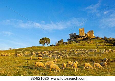 Castle of Almod? var del R? o C? rdoba province, Andalusia Spain View Large Photo Image Stock Photography - Castle of Almod? var del R? o C? rdoba province, Andalusia Spain. Fotosearch