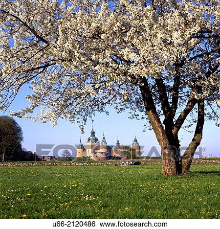 Castle of Kalmar, Sm? land, Sweden. View Large Photo Image Stock Photograph - Castle of Kalmar, Sm? land, Sweden.. Fotosearch