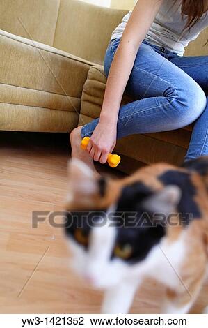 cat and legs of a young caucasian woman in jeans with dumbbells in hand View Large Photo Image Stock Image - cat and legs of a young caucasian woman in jeans with dumbbells in hand. Fotosearch