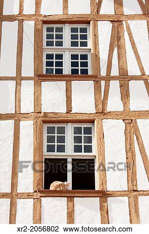 Cat in the window, Bayonne, Basque Country. View Large Photo Image Stock Image - Cat in the window, Bayonne, Basque Country.. Fotosearch