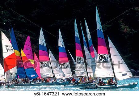Catamaran fleet racing off Phuket Thailand View Large Photo Image Stock Image - Catamaran fleet racing off Phuket Thailand. Fotosearch