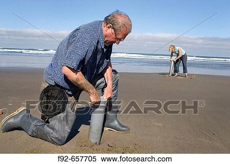 Catching razor clams, summer vocation, activity, razor clam tools View Large Photo Image Stock Photography - Catching razor clams, summer vocation, activity, razor clam tools. Fotosearch
