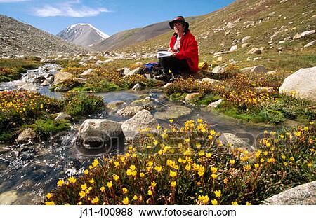 Catching up on diary. Relaxing beside stream with buttercups, Tavan Bogd. Altai mountains, Western Mongolia View Large Photo Image Stock Photo - Catching up on diary. Relaxing beside stream with buttercups, Tavan Bogd. Altai mountains, Western Mongolia. Fotosearch