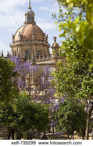 Cathedral, Jerez de la Frontera. Cadiz province, Andalucia, Spain View Large Photo Image Stock Photo - Cathedral, Jerez de la Frontera. Cadiz province, Andalucia, Spain. Fotosearch
