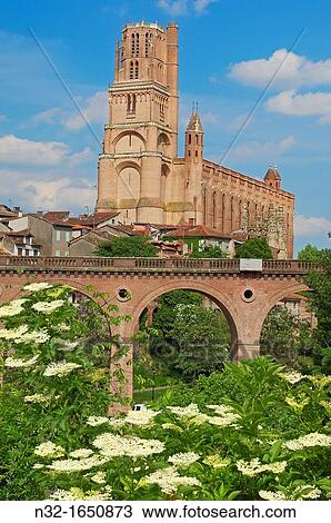 Cathedral of Saint Cecilia, Albi, Tarn, Midi-Pyrenees, France, Europe View Large Photo Image Stock Image - Cathedral of Saint Cecilia, Albi, Tarn, Midi-Pyrenees, France, Europe. Fotosearch