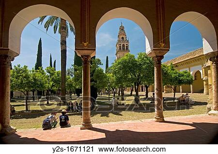 Cathedral, Old arab mosque, Patio de los naranjos, Cordoba, Region of Andalusia, Spain, Europe View Large Photo Image Stock Image - Cathedral, Old arab mosque, Patio de los naranjos, Cordoba, Region of Andalusia, Spain, Europe. Fotosearch