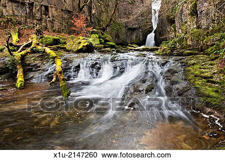 Catrigg Force near Stainforth in Ribblesdale Yorkshire Dales England. View Large Photo Image Stock Image - Catrigg Force near Stainforth in Ribblesdale Yorkshire Dales England.. Fotosearch